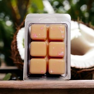 Handmade Wax Melt - Bangkok (Nectarine & Coconut Milk)